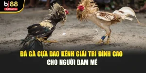 Đá Gà Cựa Dao Kênh Giải Trí Đỉnh Cao Cho Người Đam Mê