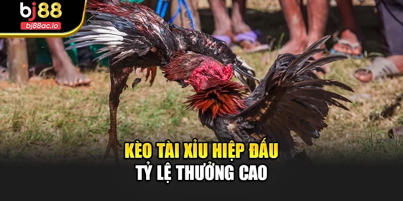 Kèo tài xỉu hiệp đấu tỷ lệ thưởng cao
