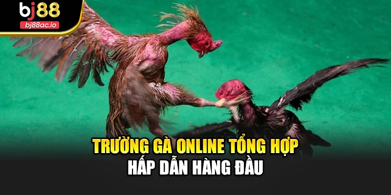 Trường gà online tổng hợp hấp dẫn hàng đầu